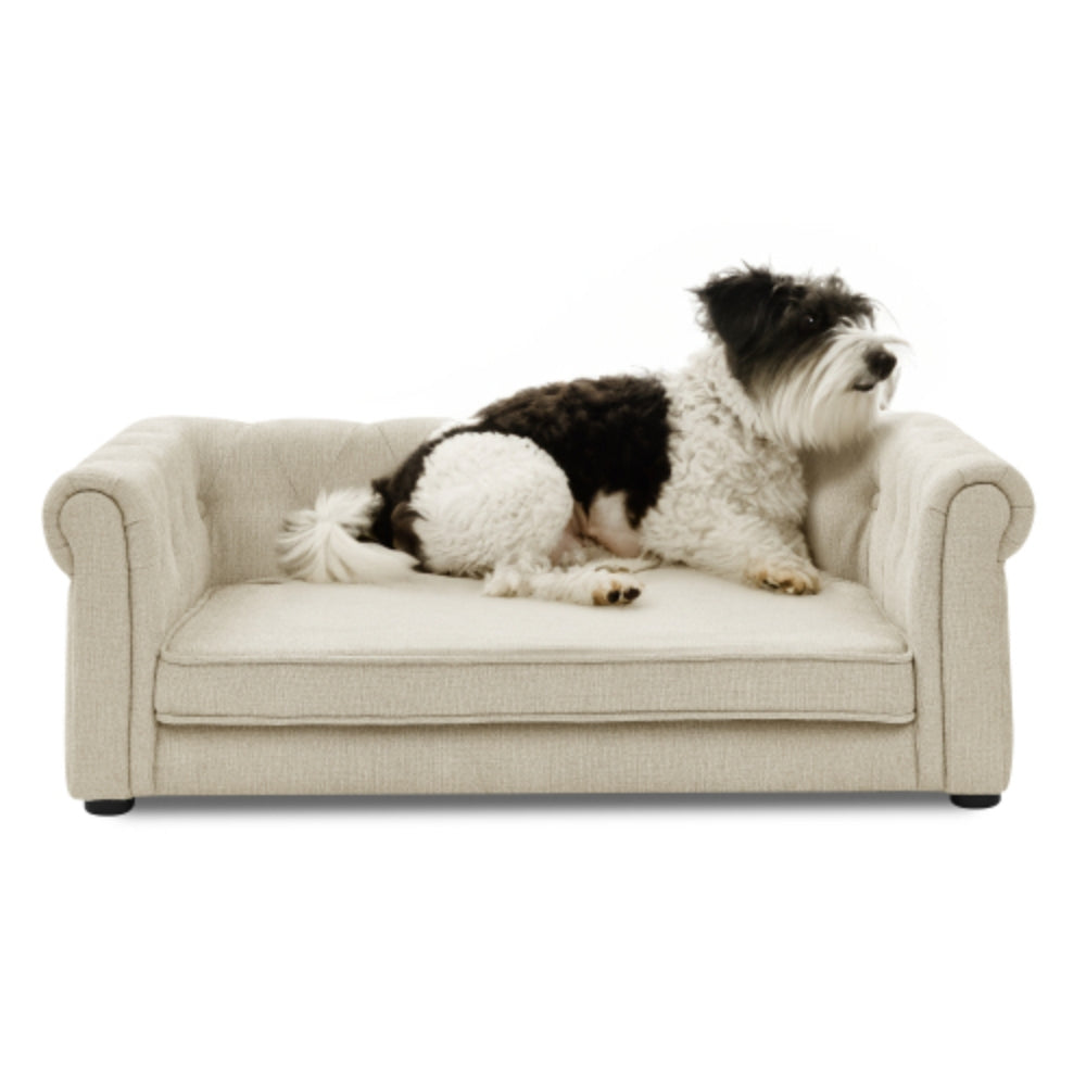 Stylish and Durable Rectangle Pet Bed for Medium and Large Dogs