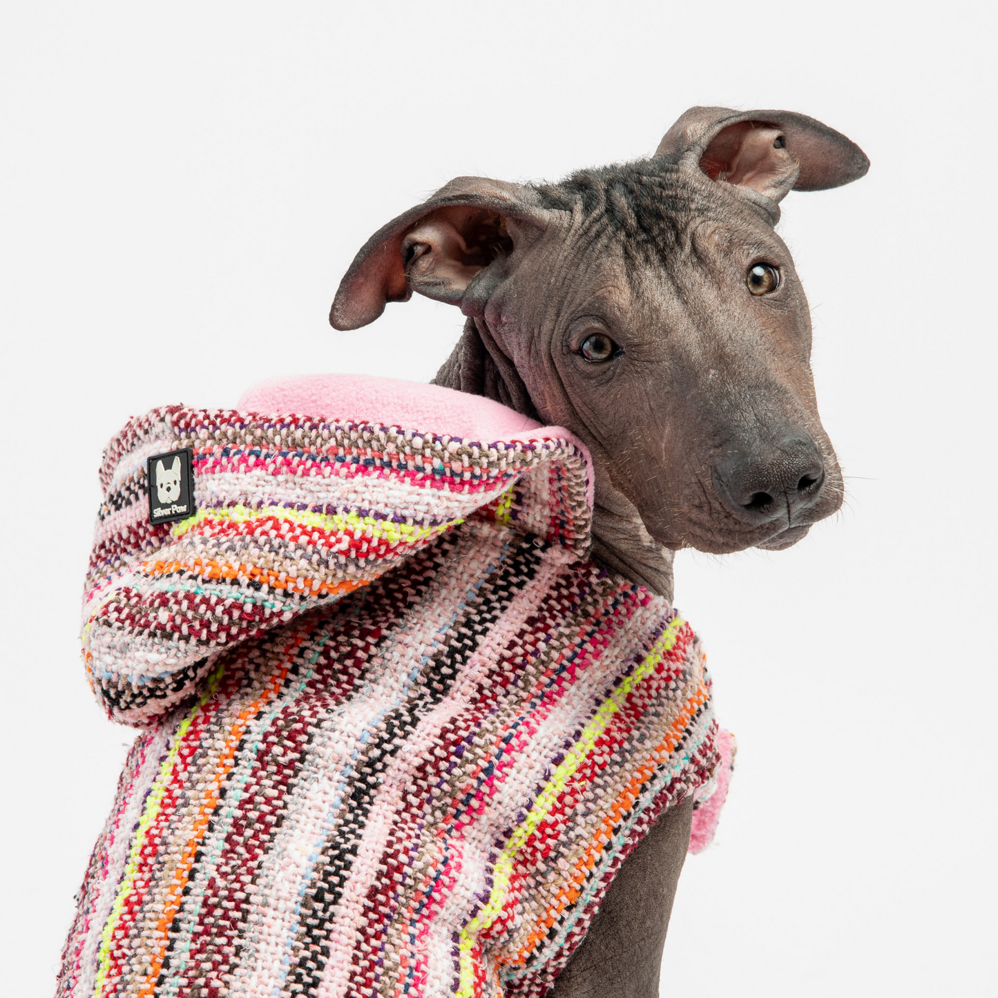 🎀 Baja Dog Poncho – Stylish & Cozy Pink Dog Jacket with Poop Bag