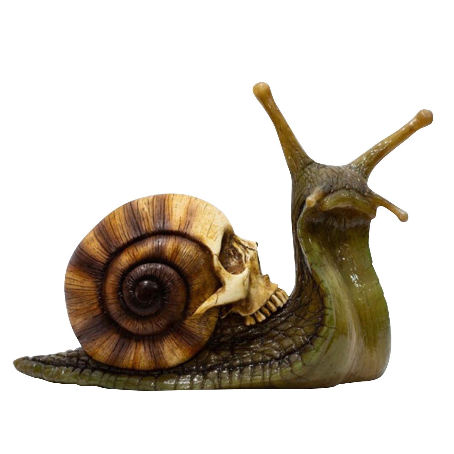 Snail Skull Sculpture Gothic Decoration Snail Statue