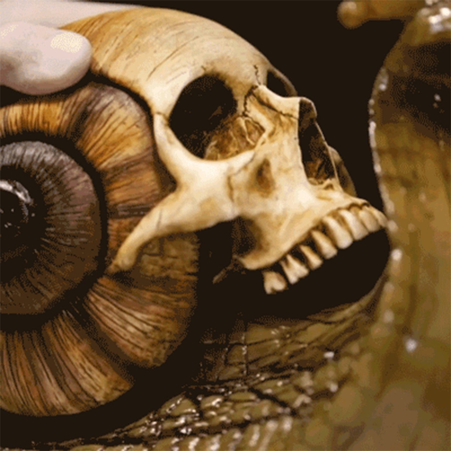 Snail Skull Sculpture Gothic Decoration Snail Statue