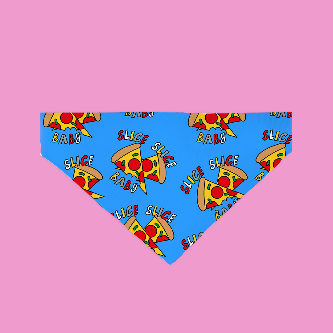 Slice Slice Baby Bandana